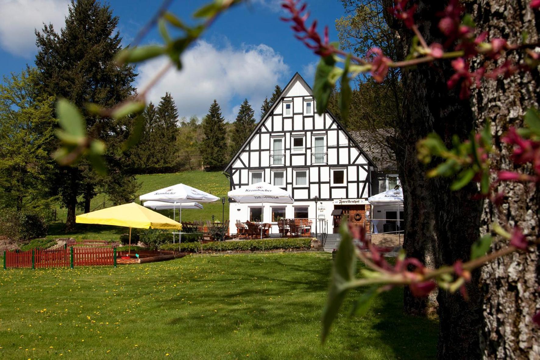 Forellenhof Wald- Und Wiesenquartier Bad Berleburg Ngoại thất bức ảnh